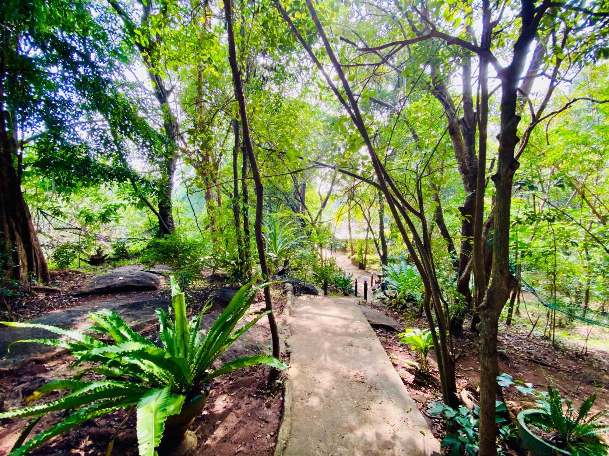 Green House Resort Sigiriya Buitenkant foto